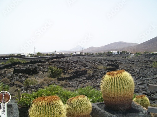 deserto lava natura photo