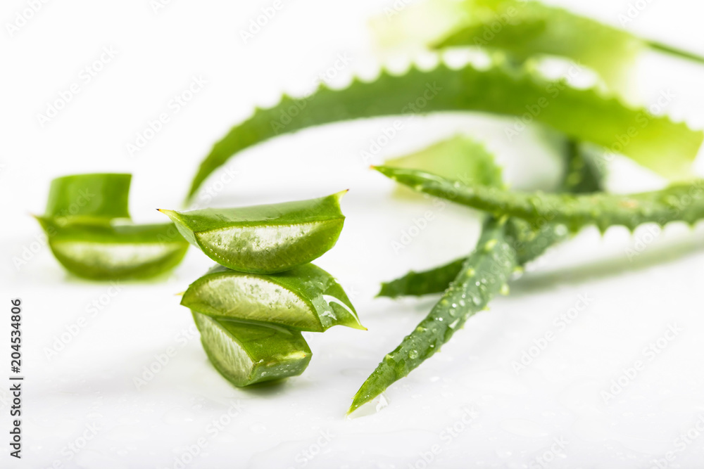 Wet Aloe Vera leaves on white background. Wet Aloe Vera leaves on white background.