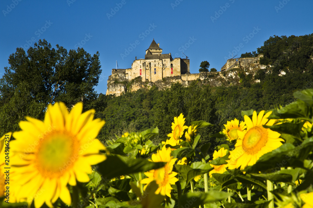 Le château de Castelnaud en Dordogne