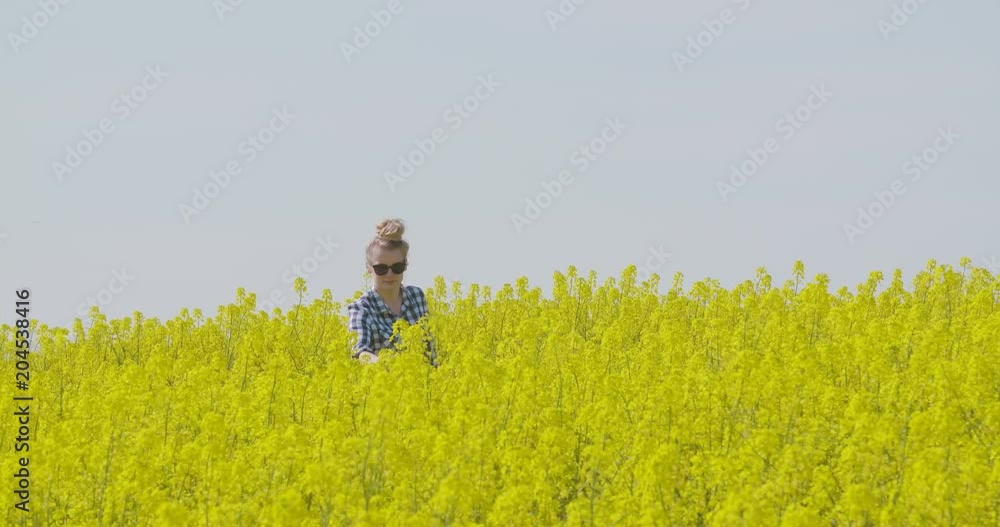 Farmer Examining Rapeseed Blooming Plants Farmer Examining Rapeseed Blooming Plants