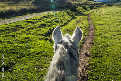 Horse Riding around the City of Cusco