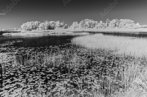 lake asnen in sweden, infrared recordung photo