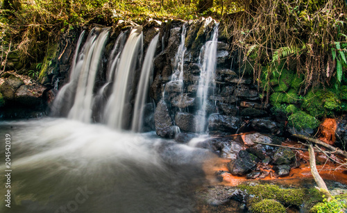 Fototapeta Naklejka Na Ścianę i Meble -  waterfall in a river