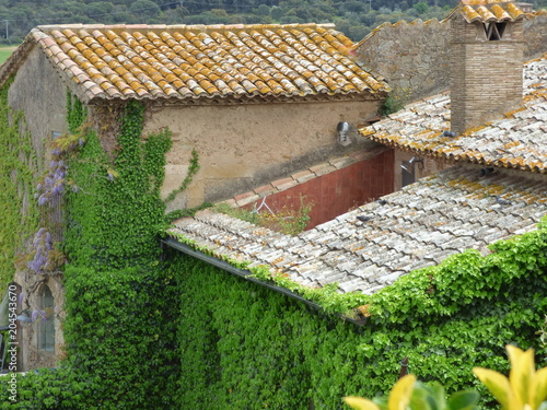 Pals. Pueblo medieval en la Costa Brava (Girona) en el Bajo Ampurdán,  Cataluña, España. Limita con los municipios de Torroella de Montgrí, Fontanillas, Palau-sator, Torrent, Regencós y Bagur photo