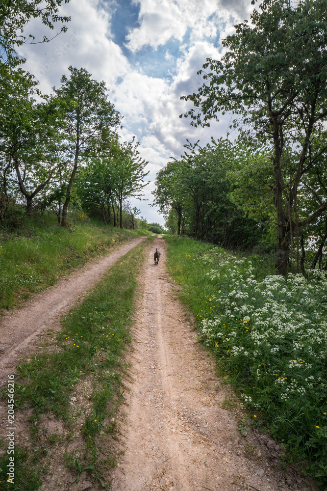 Fototapeta premium Wanderung Klausen Felder