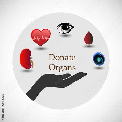 Concept of donating organs to a living recipient, concept of spreading awareness about Organ Donation. Concept of a simple pledge to donate  Kidney, Heart, Eyes, Blood & Stem Cells.