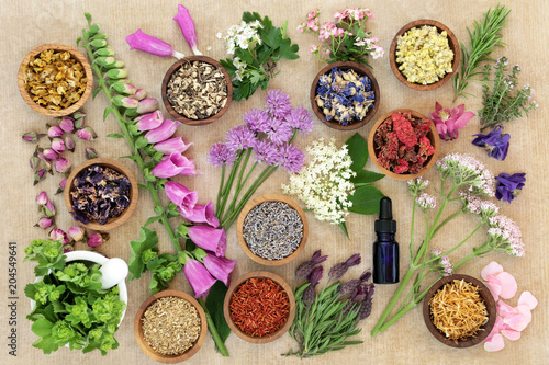Herbs and flowers used in herbal medicine and natural homoeopathic remedies with aromatherapy essential oil bottle and mortar with pestle on rough brown paper background.