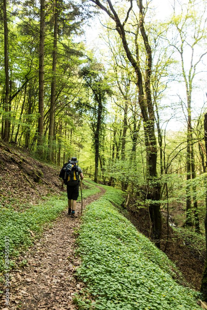 Hottenbachweg Hottenbachweg