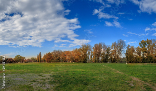 Field in Autumn