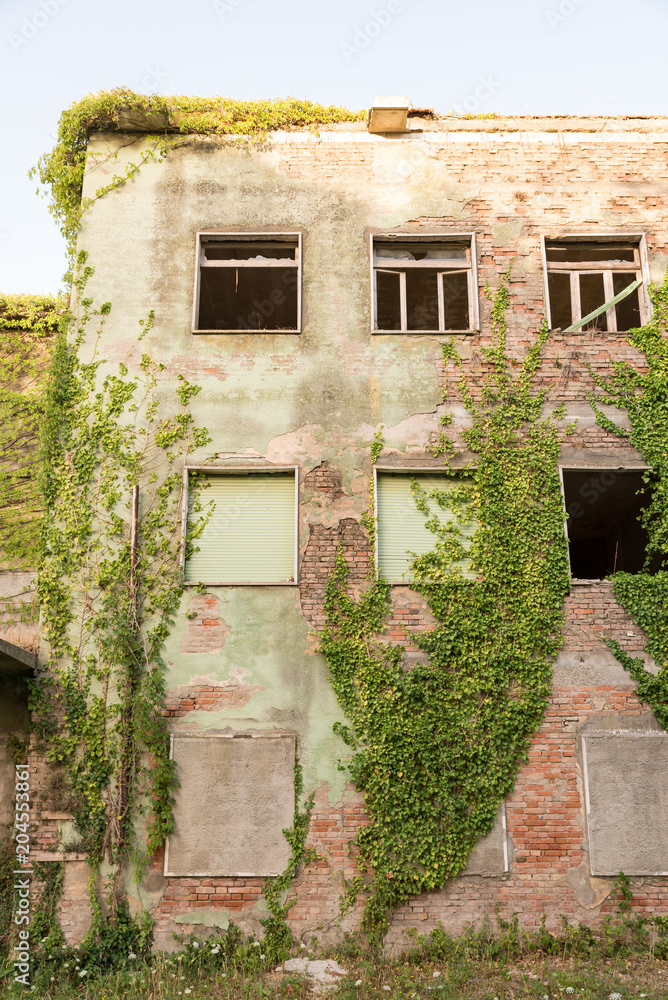 Fototapeta premium Abandoned houses invaded the plants