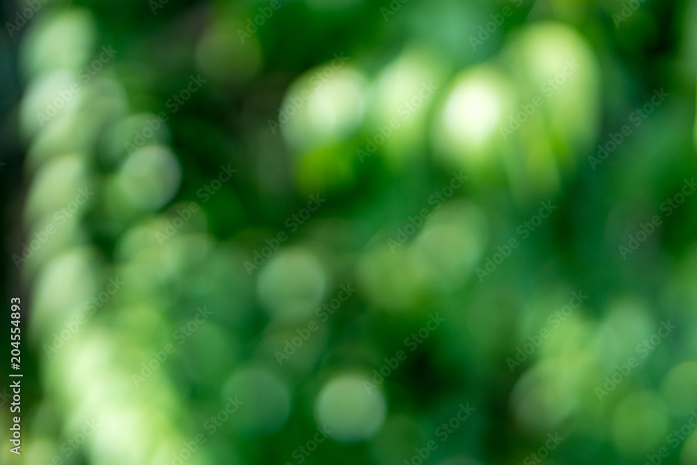 Green tree bokeh out of focus background from nature forest or parks. Green tree bokeh out of focus background from nature forest or parks.