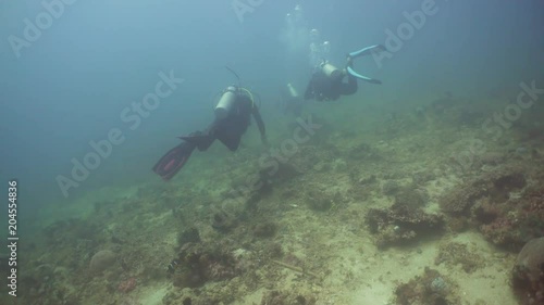 Wallpaper Mural Scuba divers explores underwater coral reef and watching the fish.Scuba diver underwater in a tropical sea.Tropical fish on a coral reef. Diving and snorkeling in the tropical sea. Philippines Torontodigital.ca