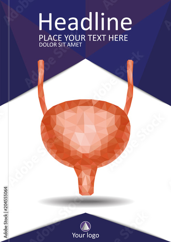 Book cover urinary bladder system with ureter and urethra. Realistic 3d low poly human organ. Annual report. A4 Medical journals, conferences, magazines.