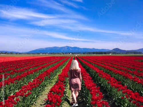 traveler girl walks the tulip field in Norway.