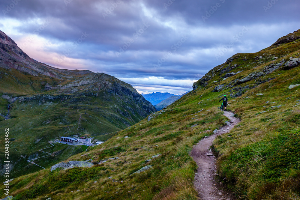 Naklejka premium Mountain Biking high in mountains - Bernina Pass