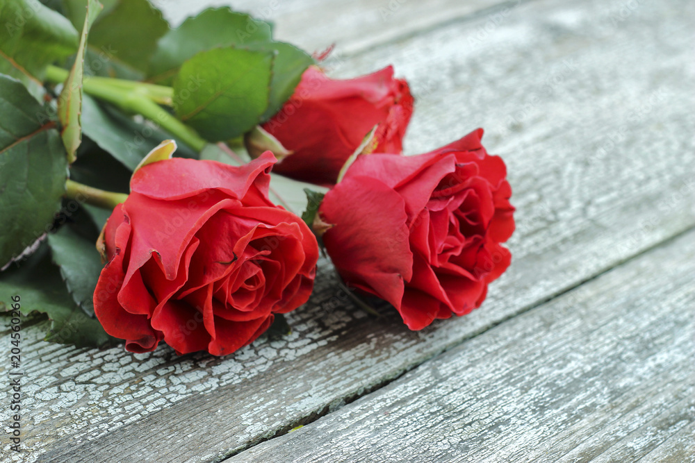 Red roses on a wooden background Red roses on a wooden background