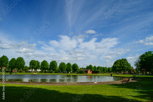 Lake, pond and green tree alley in park. Sunny summer day