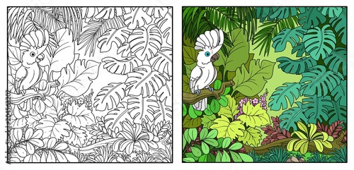 Wild jungle with cockatoo alba parrot perched on branch color and black contour line drawing for coloring on a white background