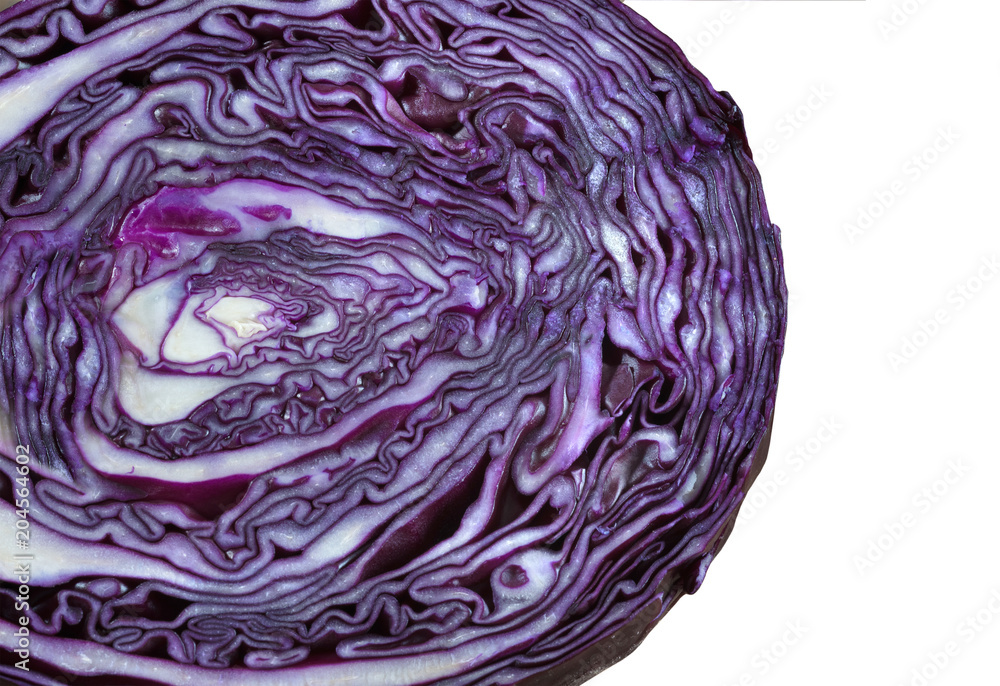 red cabbage closeup isolated on white background. red cabbage closeup isolated on white background.
