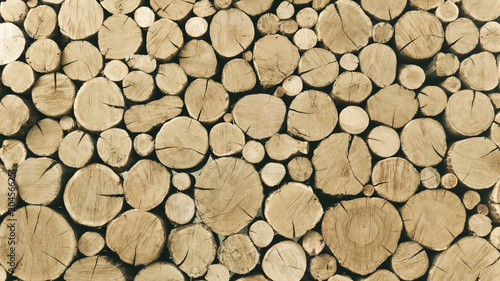 Wood logs background. Toned image.
