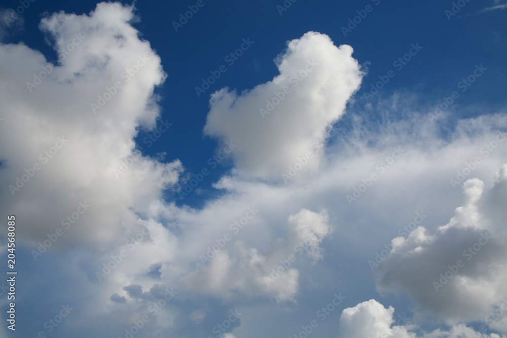 Fluffy Billowy Cumulus Clouds in the Blue Summer Sky in Florida Fluffy Billowy Cumulus Clouds in the Blue Summer Sky in Florida