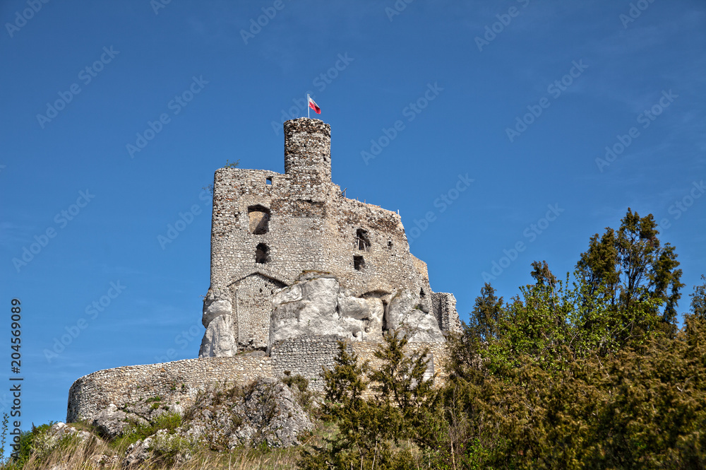Ruins of the castle in Mirow next to castel in Bobolice. Castle in the village of Mirow. The Trail of the Eagles' Nests in Poland.