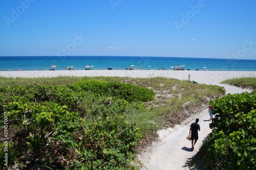 Man Walking Out Sandy Trail Entrance to Spanish River Park Beach in Boca Raton, Florida, Bright Sunny Afternoon, Foliage Left, Umbrellas and Atlantic Ocean in the Distance and Clear Blue Sky Overhead