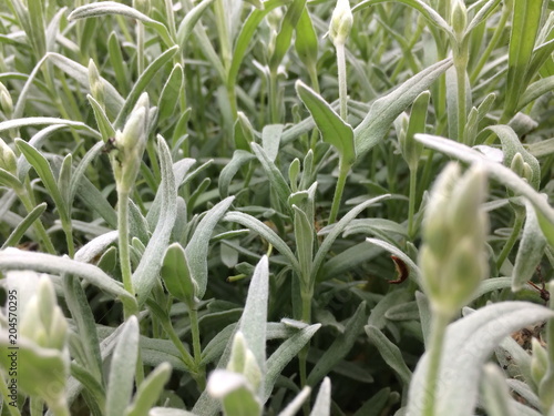 green grass plastic mat