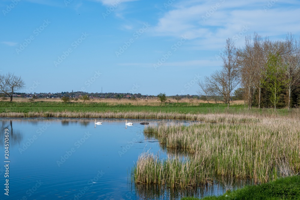 Pond on Danish island