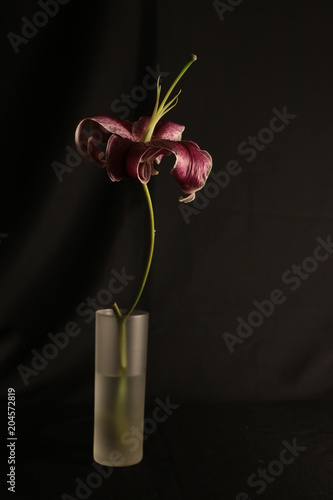 Flor