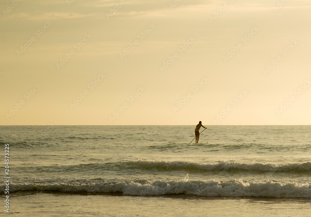Fototapeta premium man in the ocean standing on paddle board during sunset