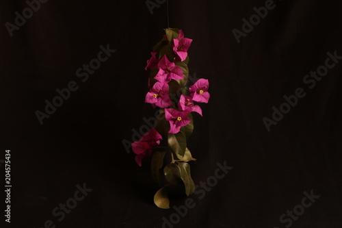 Flor