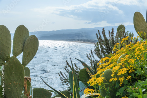 Italy, Foggia, Apulia, SE Italy, Gargano National Park, Vieste. Beachline. View of the waterfront from hillside where Cactus, Rosemary and yellow flowers grow.