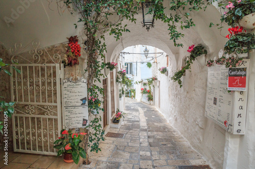Italy, SE Italy, Ostuni. Narrow, arched old town . Cobblestone streets. Vine-covered. Doorways.The "White City." © Emily_M_Wilson