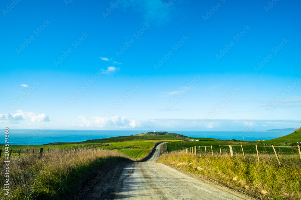 The stunning landscape of the way in a rural area in New Zealand. Gravel road among green grassland with blue sky.