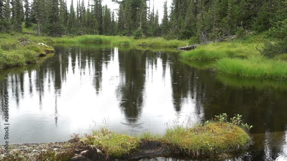 Gentle rain falling on the reflective surface of a small forest lake in Siberia Gentle rain falling on the reflective surface of a small forest lake in Siberia