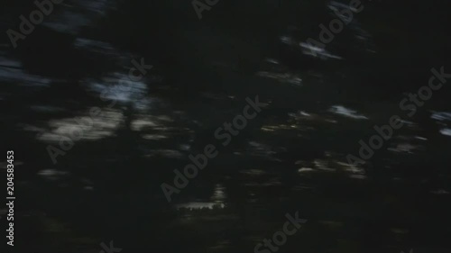 POV, driving past trees at sunset