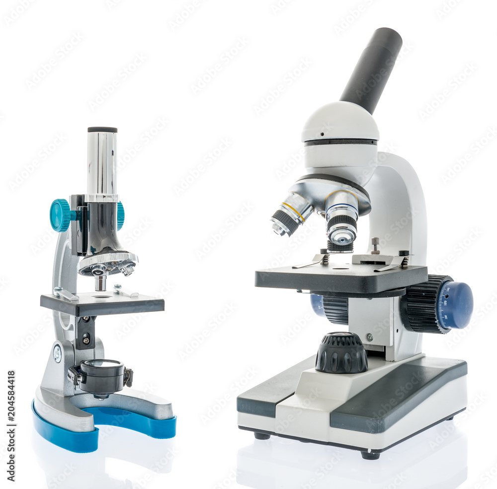 Pair of microscopes Pair of microscopes