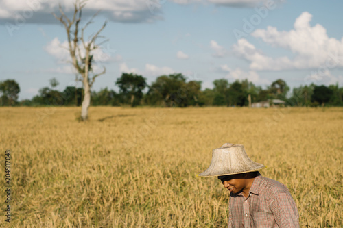 Brown Skin Farmer And His Rice Field © Phoomin