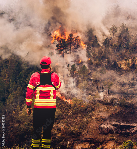 Fire in Forest photo