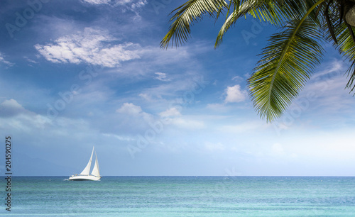 Loisirs nautiques dans les caraïbes. Nautisme dans les Antilles, voilier sur un océan avec l'horizon en fond, un ciel bleu et un cocotier au premier plan.