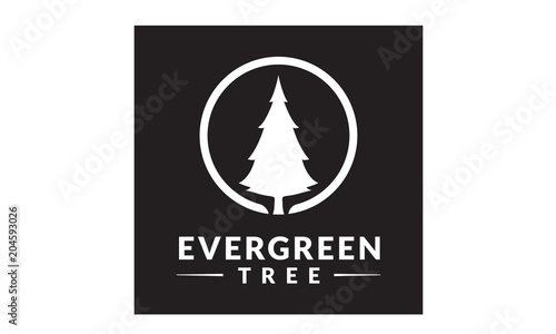 pine evergreen fir hemlock spruce conifer cedar Christmas tree Logo design vector