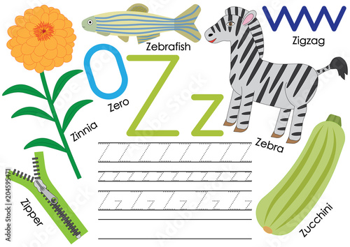 Letter Z. Education for children. Learning English alphabet with writing practice. Vector illustration.
