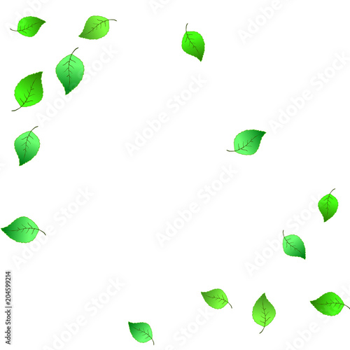 Cute Pattern with Leaves for Greeting Card or Poster. Vector Background for Spring or Summer Design.