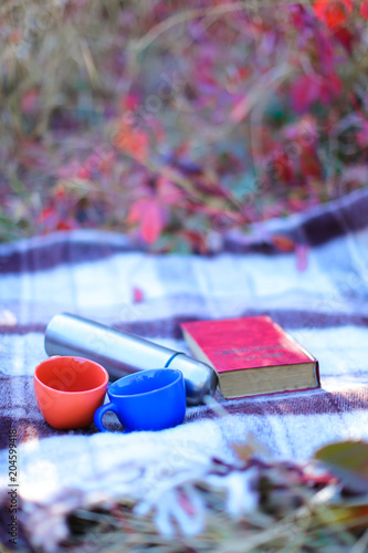 Two caps, thermos and book lying on blancet on grass. photo