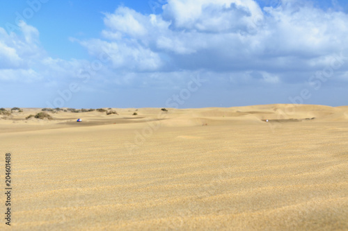 Maspalomas dunes