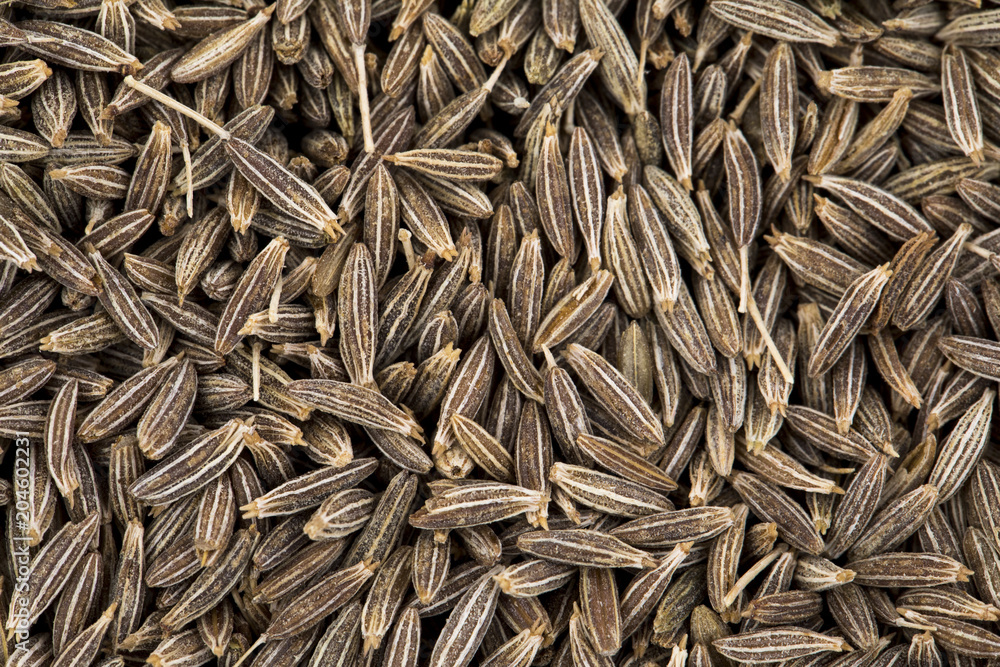 Background Texture of Dried Cumin Seeds Also Know as Caraway, jira or jeera Its seeds are used in the cuisines of many different cultures Background Texture of Dried Cumin Seeds Also Know as Caraway, jira or jeera Its seeds are used in the cuisines of many different cultures