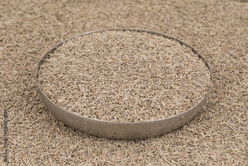 Pile of Dried Cumin Seeds Also Know as Caraway, jira or jeera Its seeds are used in the cuisines of many different cultures
