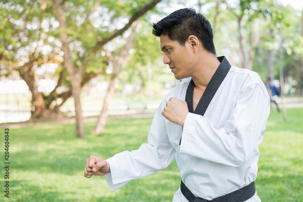A male taekwondo is standing on green grass and looking ahead in public park, ready to fight. A male taekwondo is standing on green grass and looking ahead in public park, ready to fight.