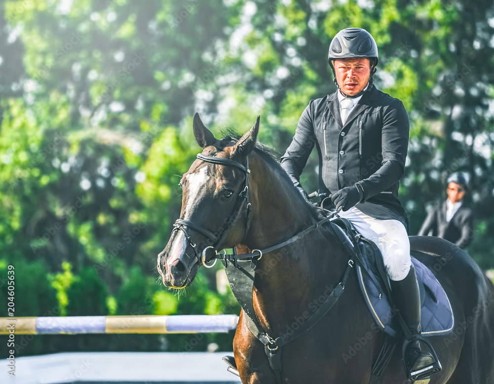 Showjumping competition, bay horse and rider in black uniform performing jump over the bridle. Equestrian sport background. Beautiful horse portrait during show jumping competition.